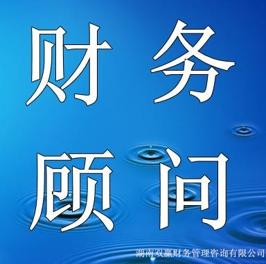 財(cái)務(wù)顧問
